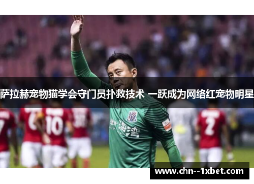 萨拉赫宠物猫学会守门员扑救技术 一跃成为网络红宠物明星