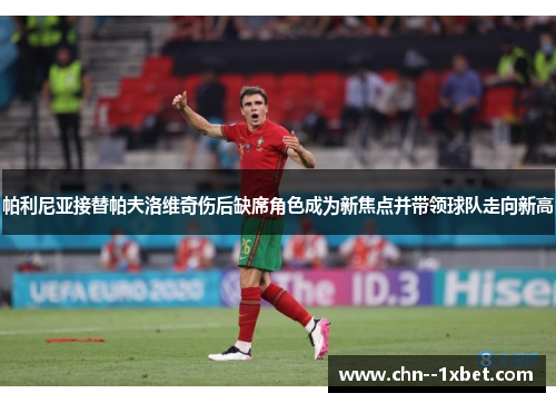 帕利尼亚接替帕夫洛维奇伤后缺席角色成为新焦点并带领球队走向新高